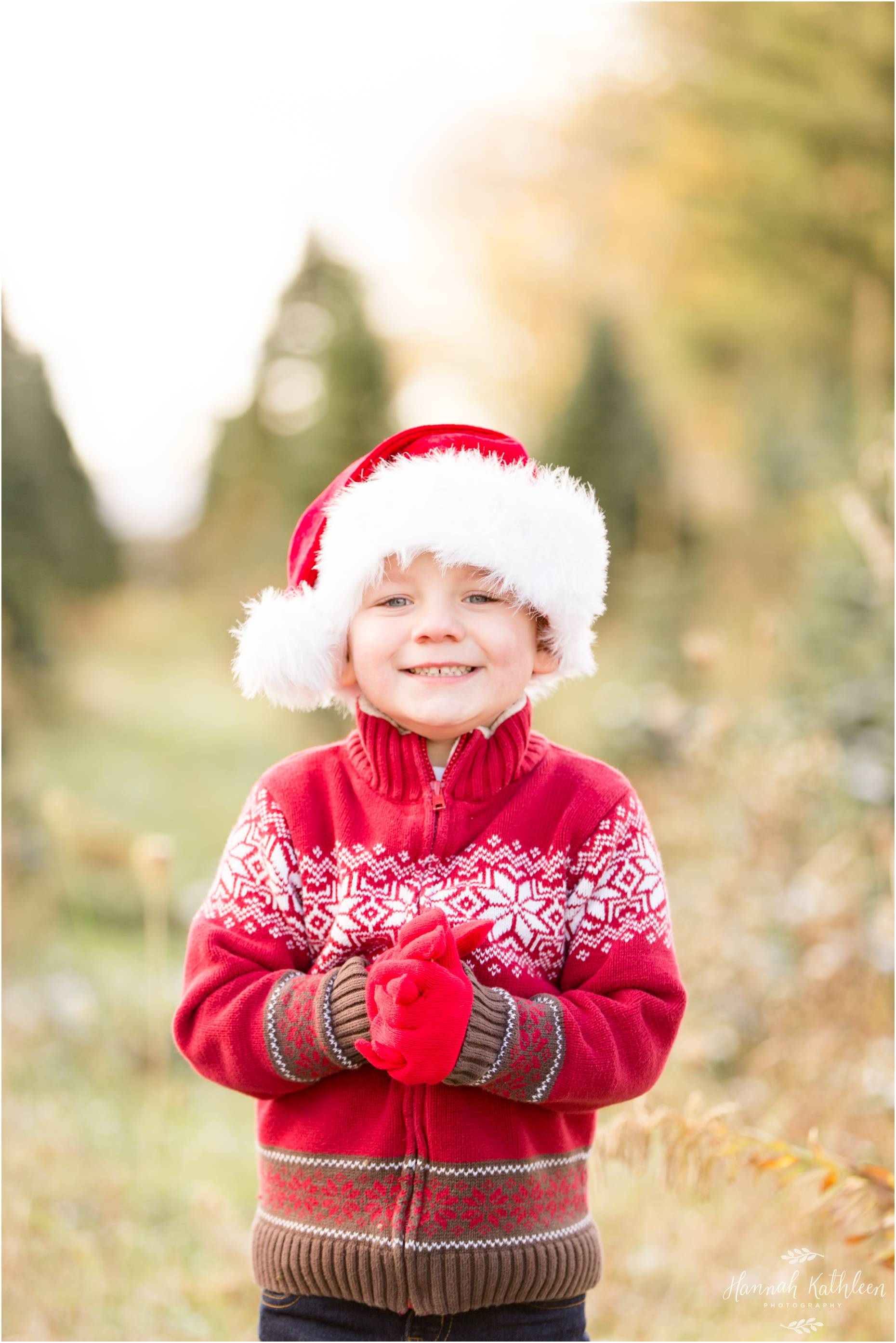 ChristmasTreeFarmMiniSessions2017_0001.jpg