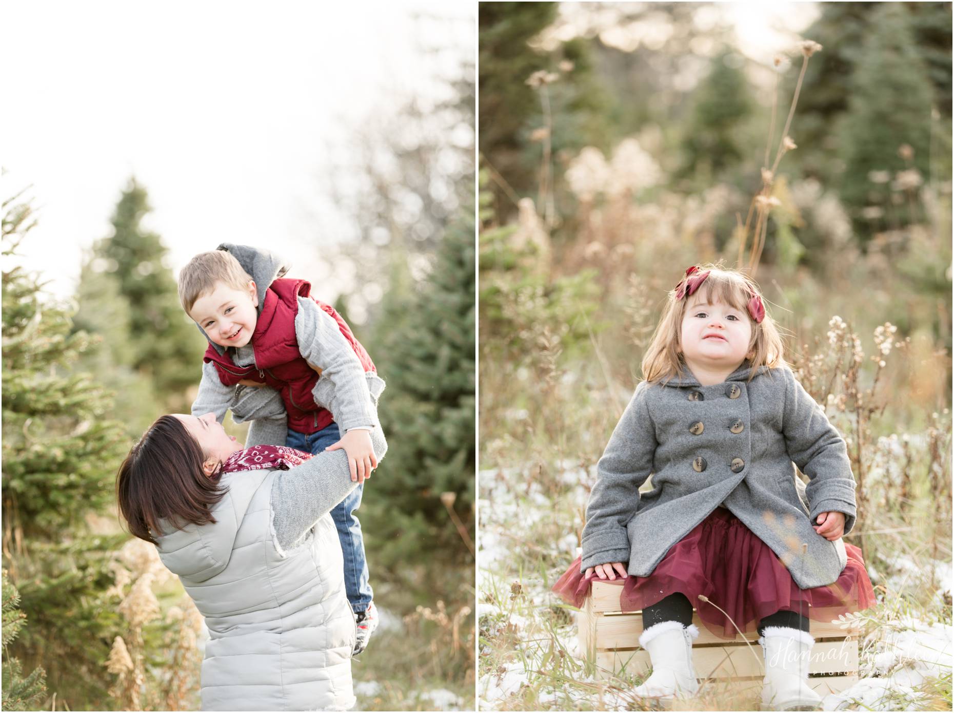 ChristmasTreeFarmMiniSessions2017_0001.jpg