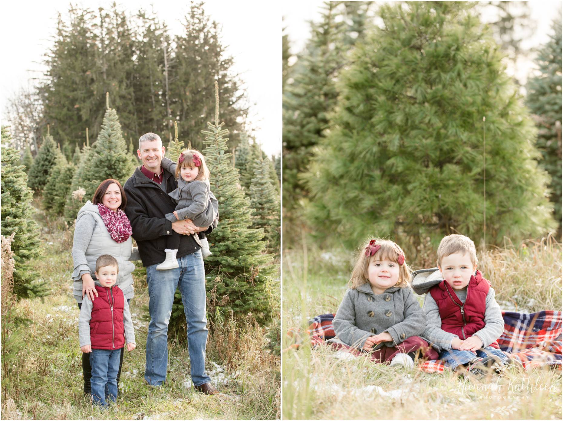 ChristmasTreeFarmMiniSessions2017_0001.jpg