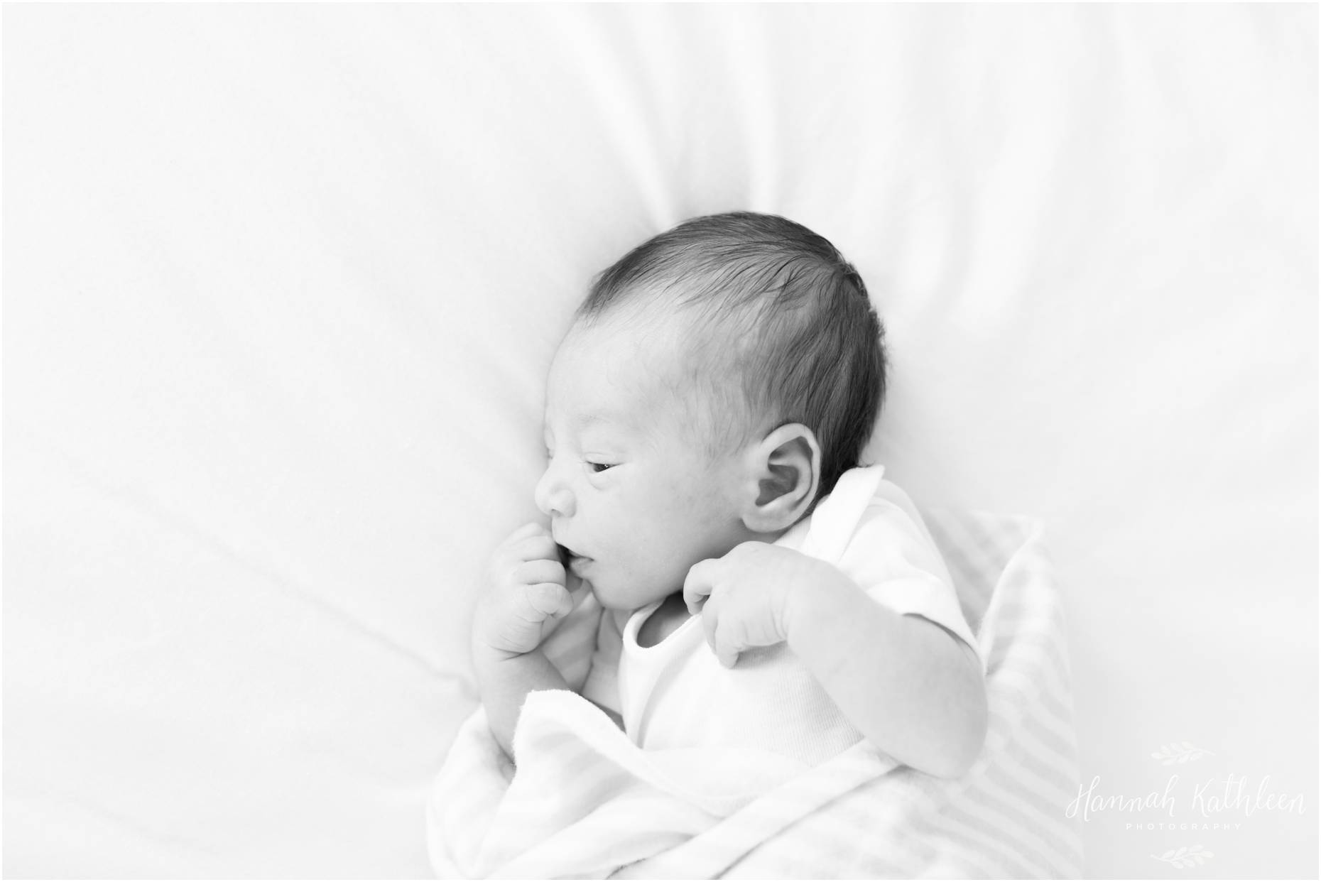 EverettLee_Buffalo_Newborn_Photographer_0001.jpg