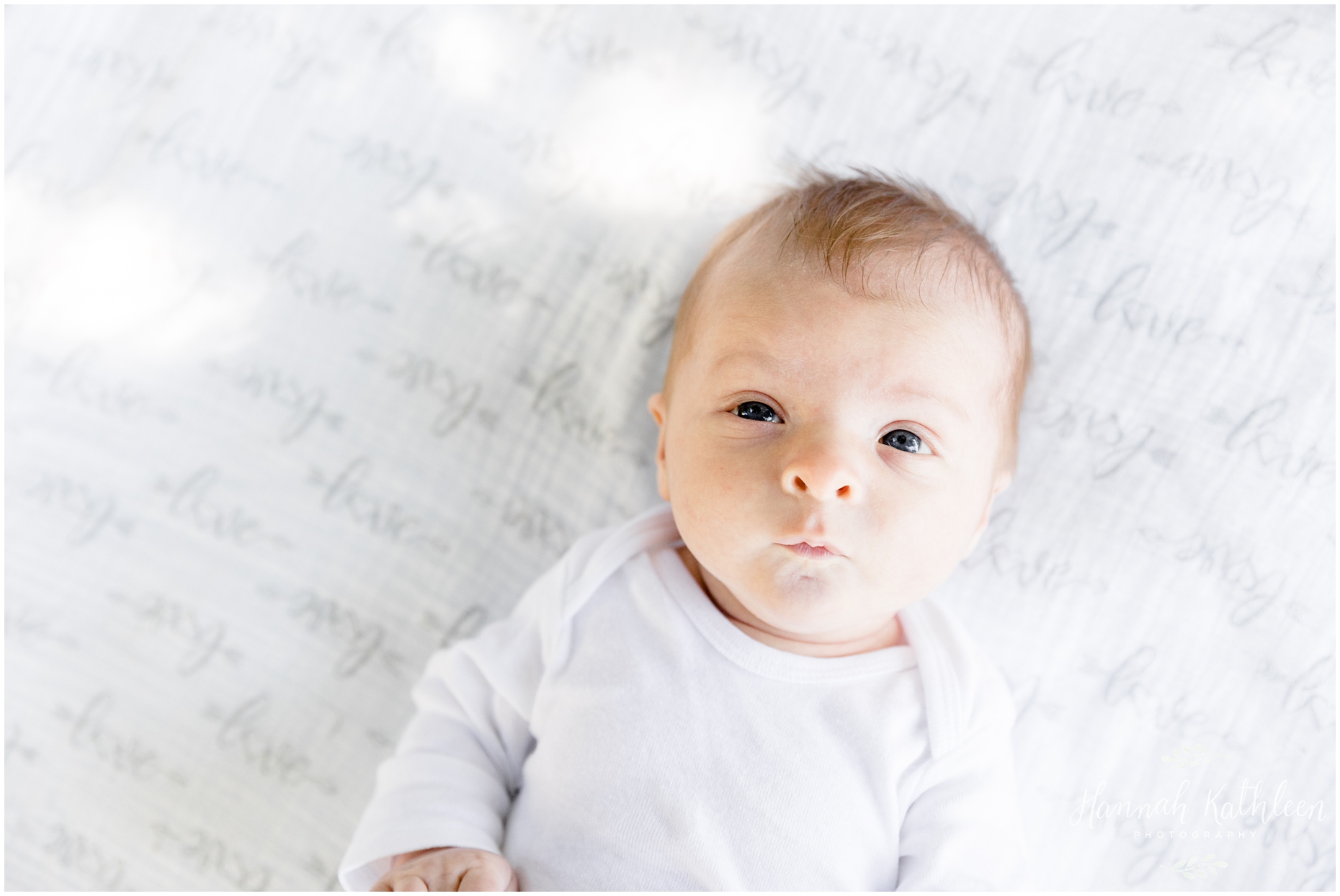 lamping_newborn_outdoor_buffalo_japanese_gardens_elmwood_family_photographer