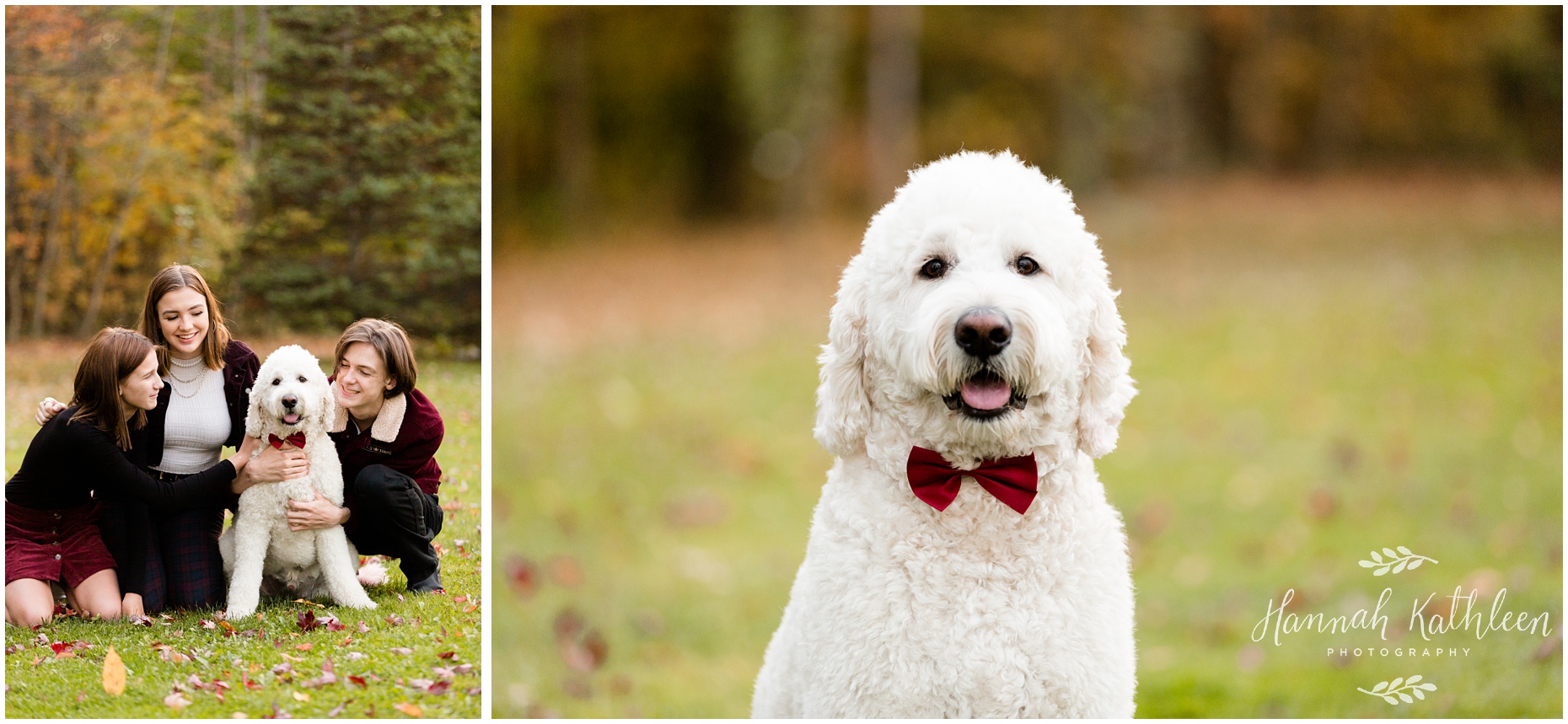 lefauve_family_fall_nature_photos_session_buffalo_ny_photography