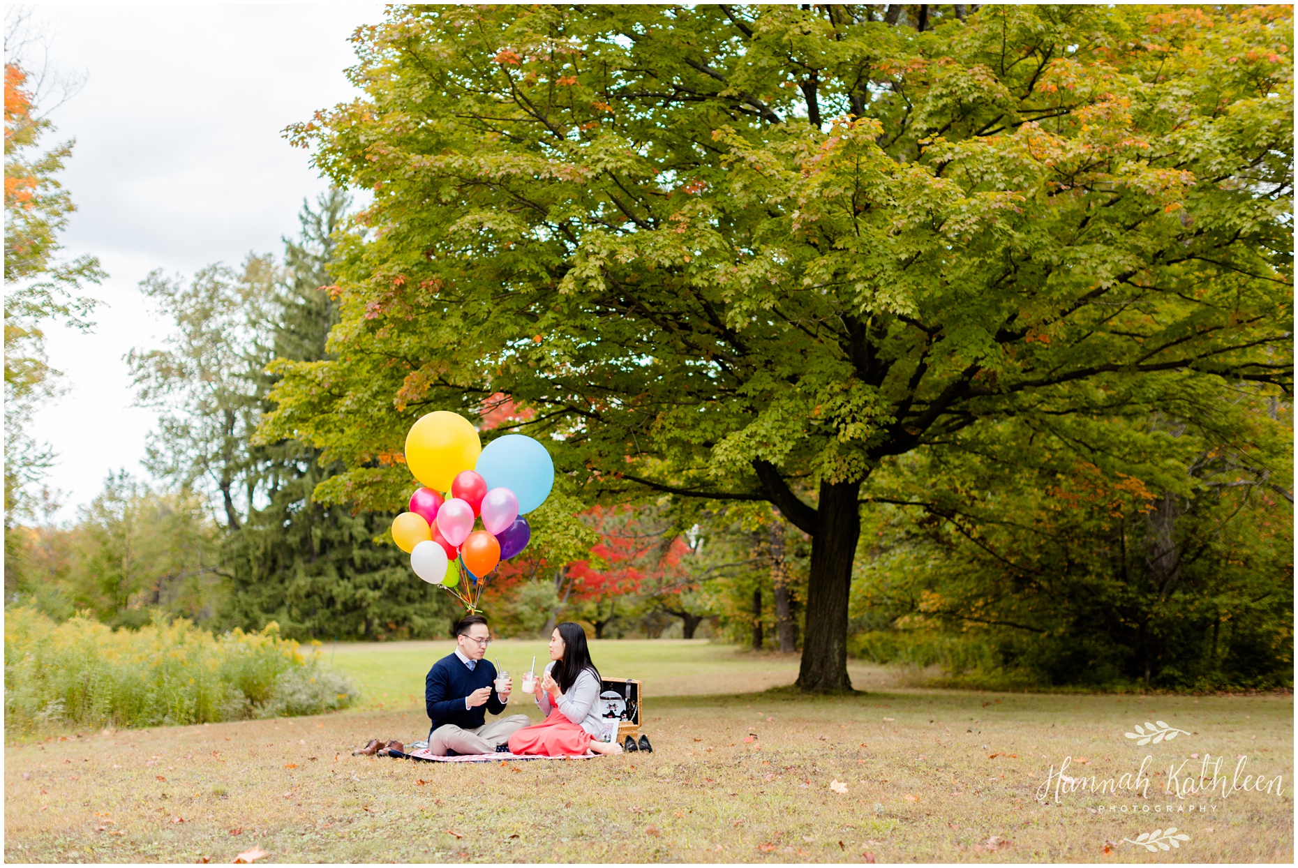 mike_christine_up_themed_picnic_balloons_engagement_session_buffalo_ny_photography