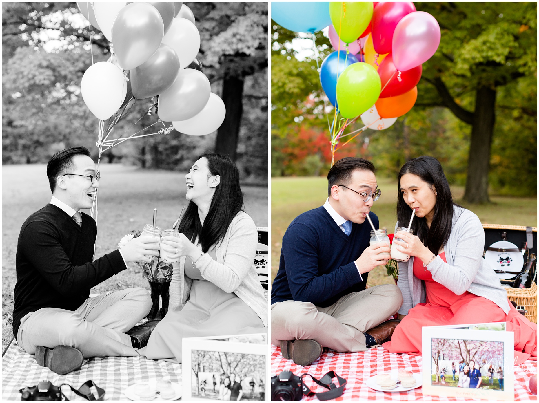 mike_christine_up_themed_picnic_balloons_engagement_session_buffalo_ny_photography