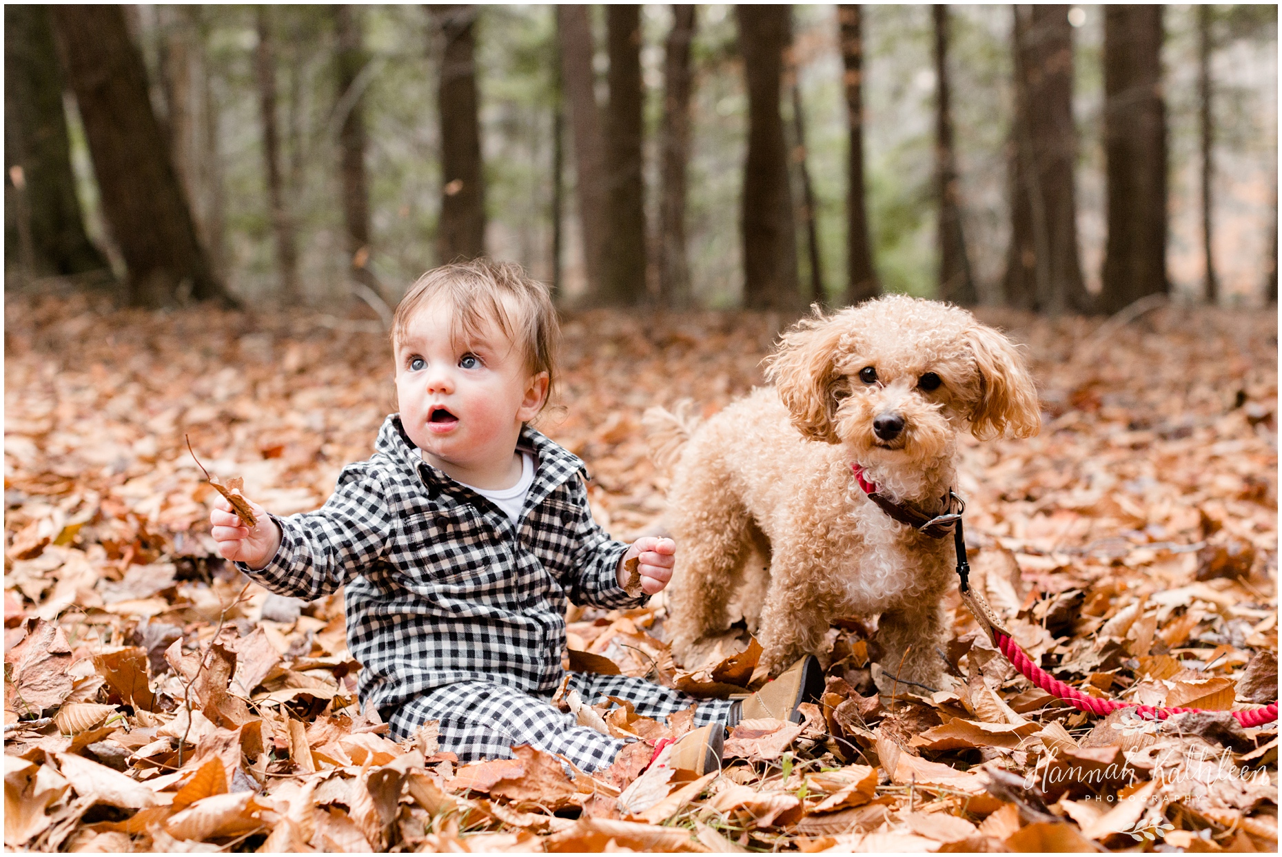 chestnut_ridge_park_family_photography_puppy_fall_hamburg_orchard_park